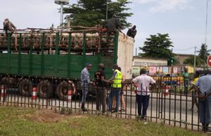 QUI A INTÉRÊT A SABOTER LE TRAVAIL DE LA MAIRIE DE PORT-BOUET ?