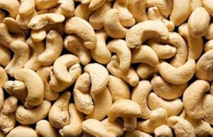 #Agriculture ✅Commercialisation de la noix de cajou : plus de 45 milliards de FCFA de subvention de l’Etat pour soulager les producteurs