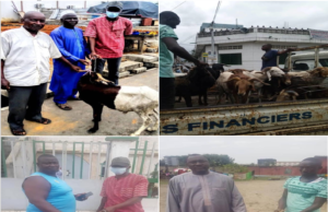 #Marcory #Tabaski2020 Distribution de béliers aux Mosquées de Marcory