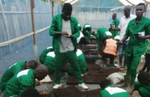 Commune de Yopougon: Formation