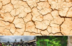 Commune de Mayo: JOURNÉE MONDIALE DE LA TERRE