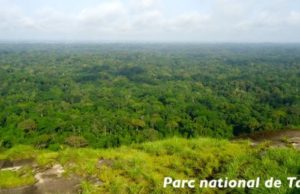 Commune de Mayo: JOURNÉE DU PATRIMOINE MONDIAL AFRICAIN