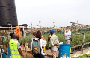 DES EXPERTS EN AGRONOMIQUE A L’ÉCOLE-PLANTATATION AGRICULTURE URBAINE DE YOPOUGON.