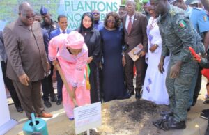 Mairie d’Abobo: Environnement / Opération de planting d’arbres